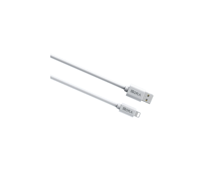 CABLE DE DATOS IPHONE ECONÓM 1HORA